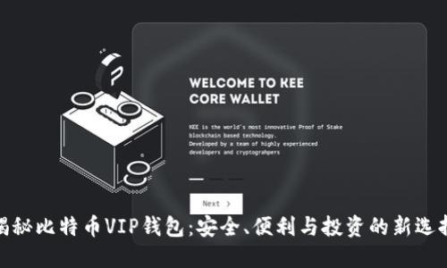  揭秘比特币VIP钱包：安全、便利与投资的新选择 